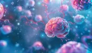 Brain Health & Cognitive Enhancement 