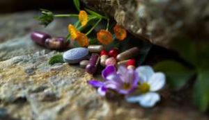 Hormone Support & Balance 