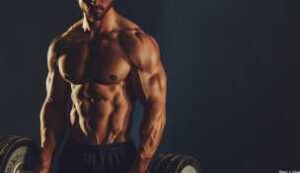 Men’s Fitness & Bodybuilding 